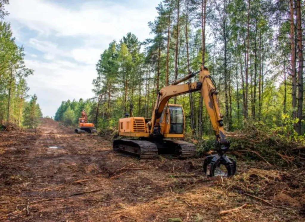 Excavator clearing forest path